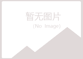 嘉峪关山柳金属有限公司